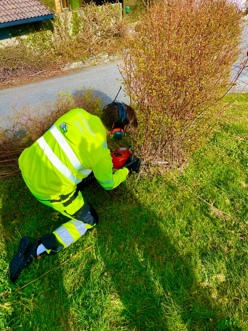 Når bør du klippe plenen i Bergen? Sesongguide for perfekt resultat