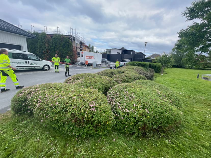 Plenklipping for borettslag i Bergen – Effektiv drift av uteområder