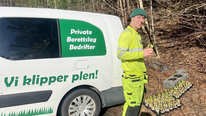 Hva koster plenklipping i Bergen?