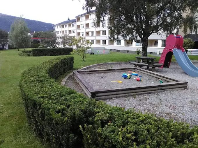 Profesjonell hekkeklipping i Bergen – Når og hvordan bør busker klippes?