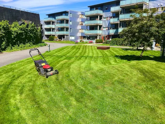 Hvordan få striper i plenen – Profesjonell plenklipping i Bergen