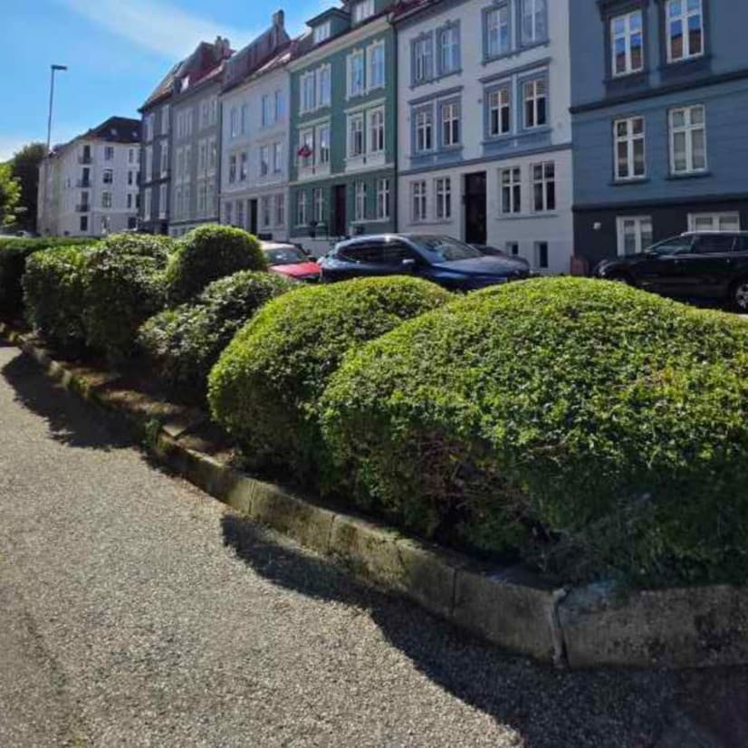 Vedlikehold av busker i byområder