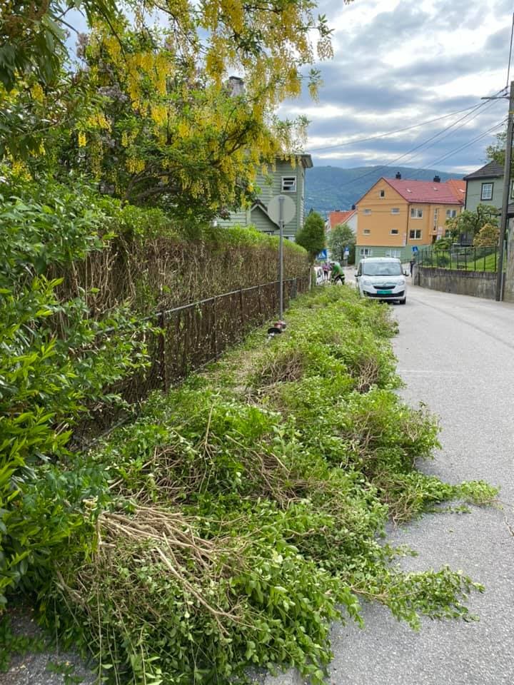 Gressklipping i Bergen – velstelt plen etter profesjonell klipp