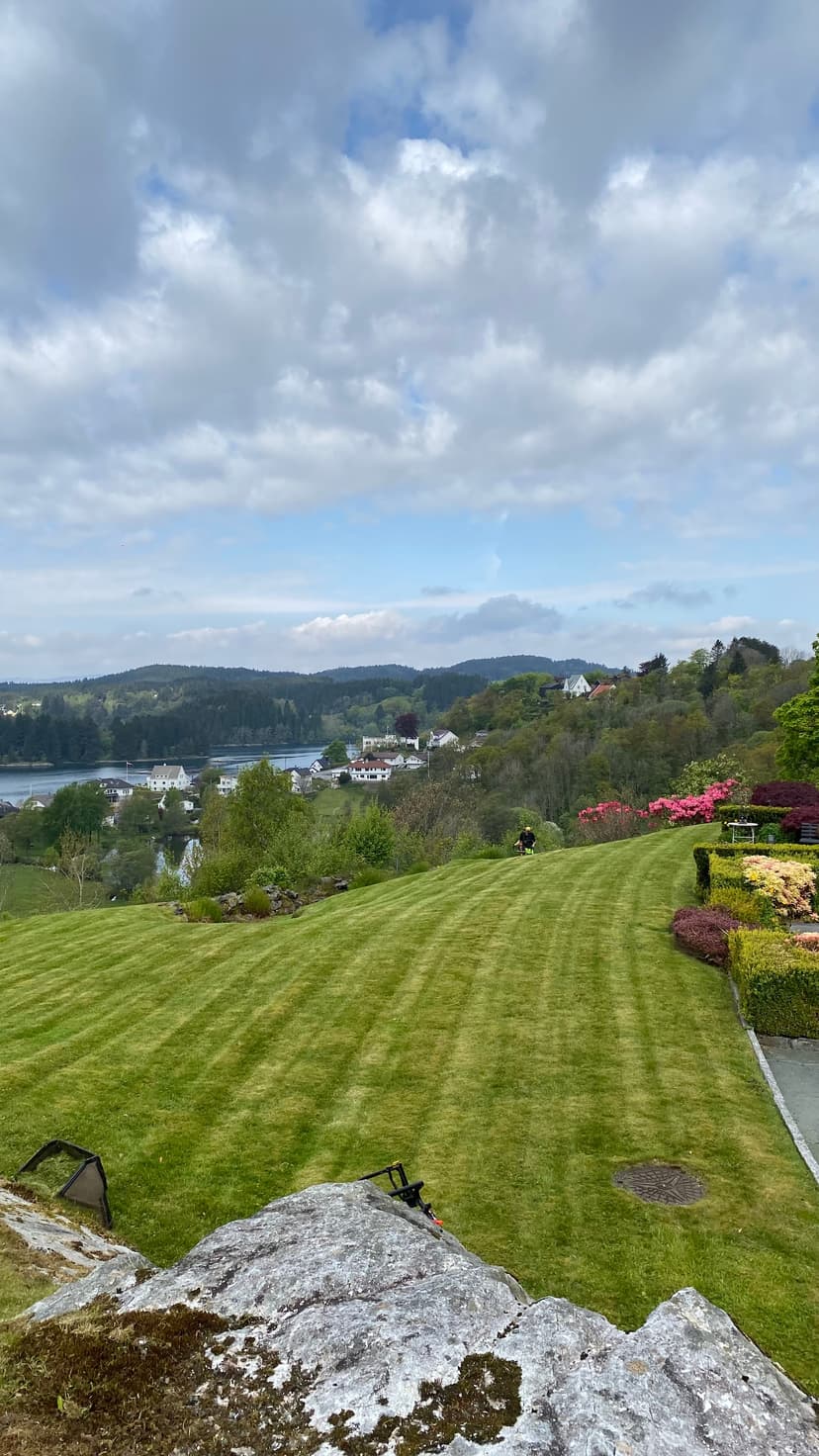 Når bør man starte plenklipping i Bergen? Guide til riktig tidspunkt