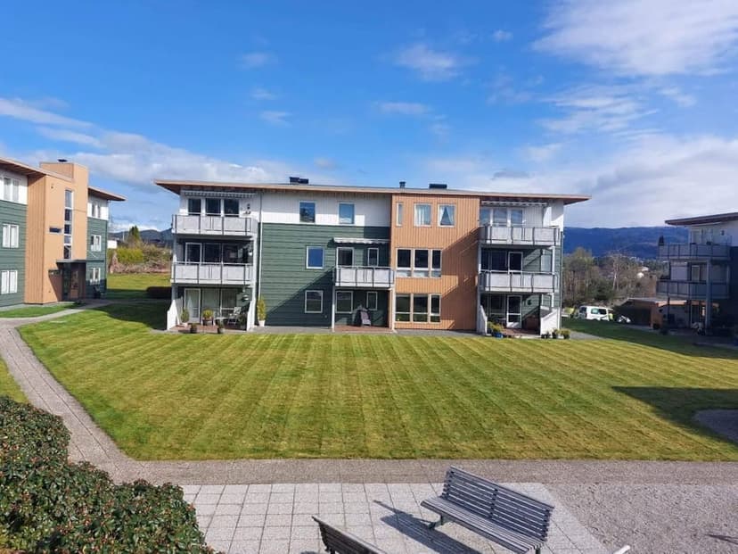 Profesjonell plenklipping i Bergen – Slik får du en perfekt plen