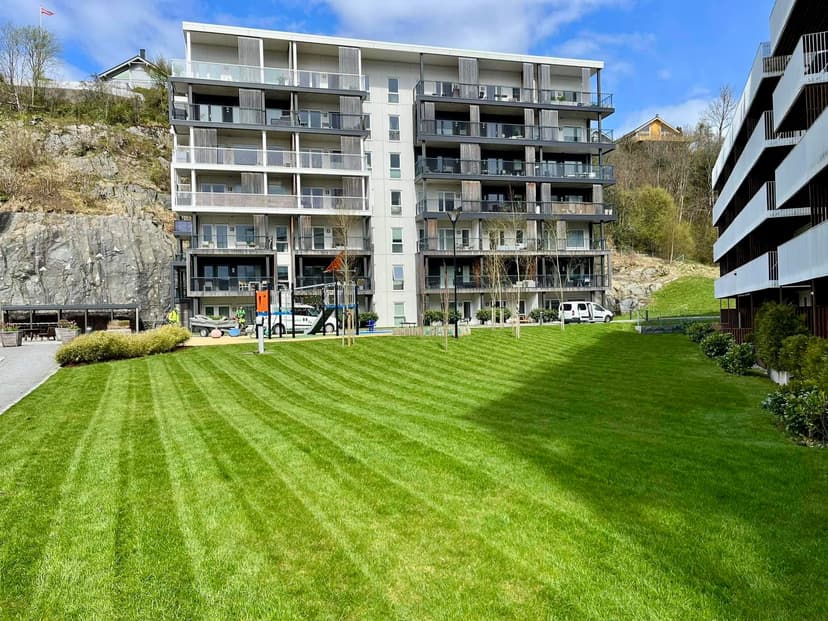 Hva koster plenklipping i Bergen? Prisguide 2025