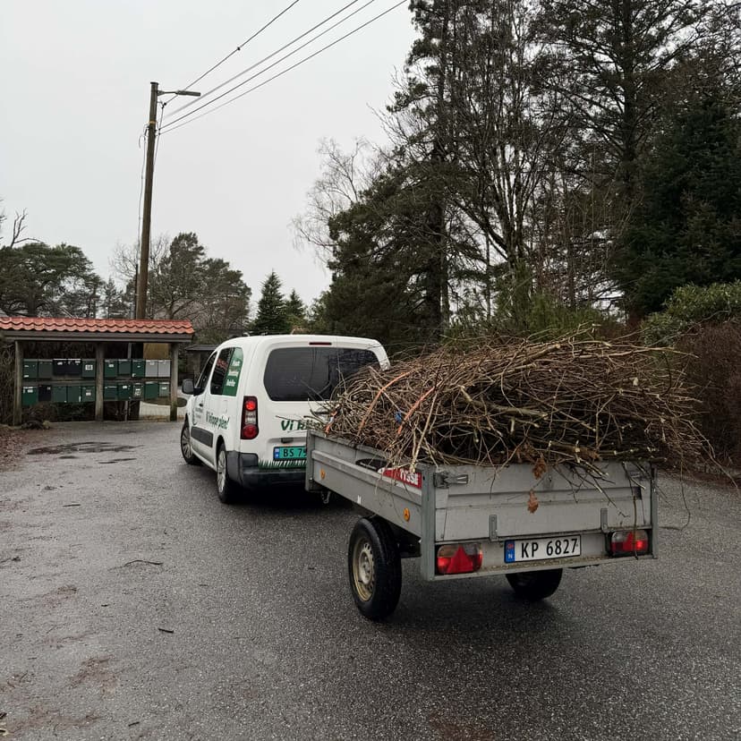 Transport av tømmer etter trefelling