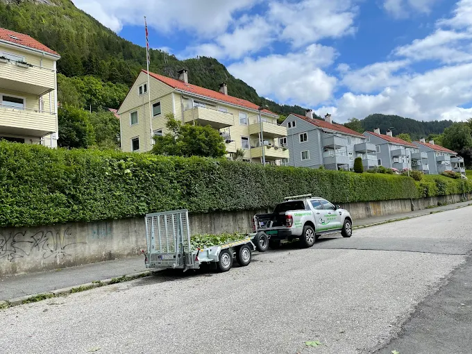 Profesjonell hekkeklipping