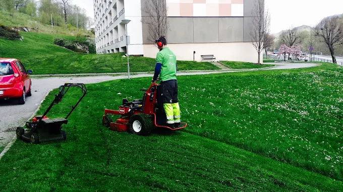 Profesjonell gressklipping